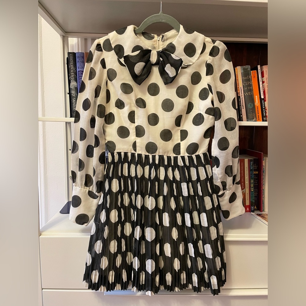 Vintage polka dot dress / pleated mini dress